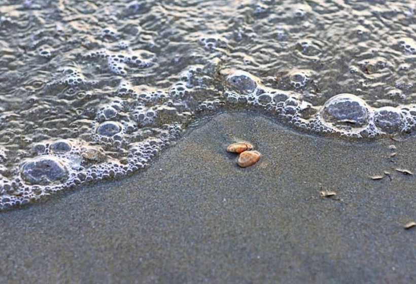 Pension (Hôtel basse catégorie) Nanhae Jeogsila Pool Villa