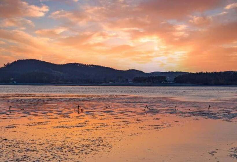 Pension (Hôtel basse catégorie) Taean Sunstone Pool Villa