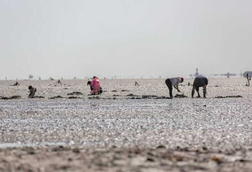 Pension (Hôtel basse catégorie) Taean Sunstone Pool Villa