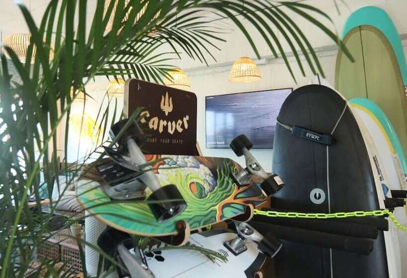 膳宿费 Yangyang Surf Lab