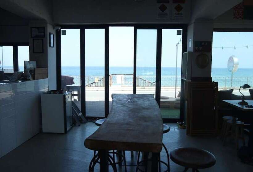 膳宿费 Yangyang Surf Lab