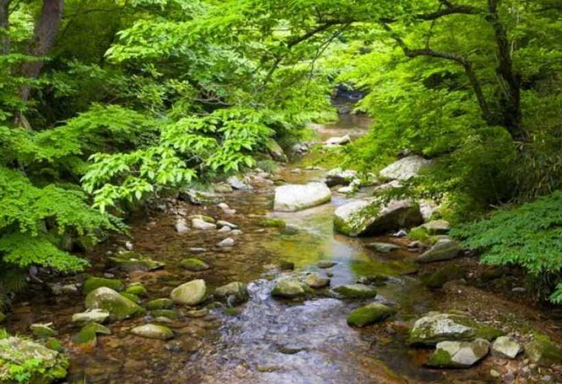 Pension Yangpyeong Lake Cabins