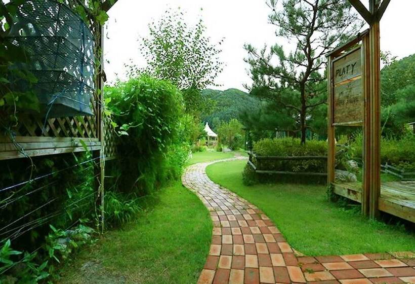 Hongcheon Platy Pension