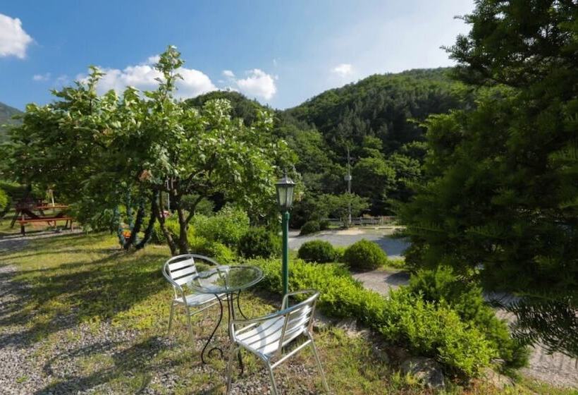 Pocheon Starlight Sonata Pension