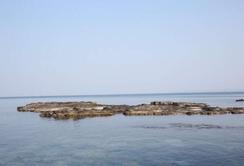 Pohang Secret Park Pension