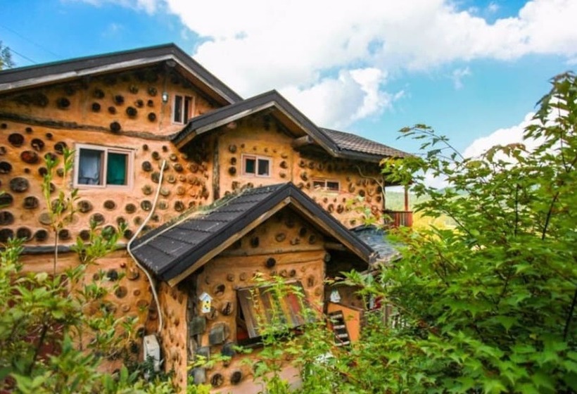 Pyeongchang Dolbaenamu Segeuru Pension
