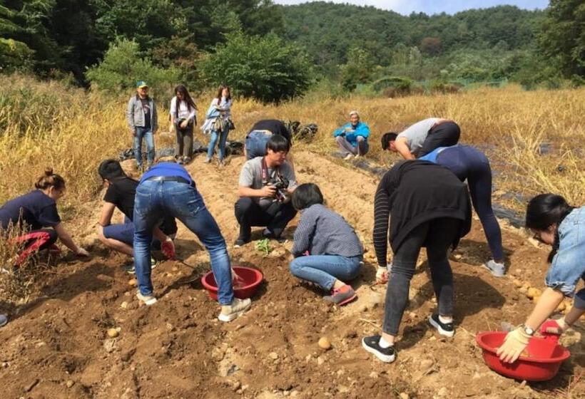 Pyeongchang Hwangtogudeulmaeul Pension