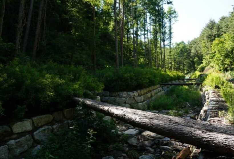 Pyeongchang Soop42gil Pension