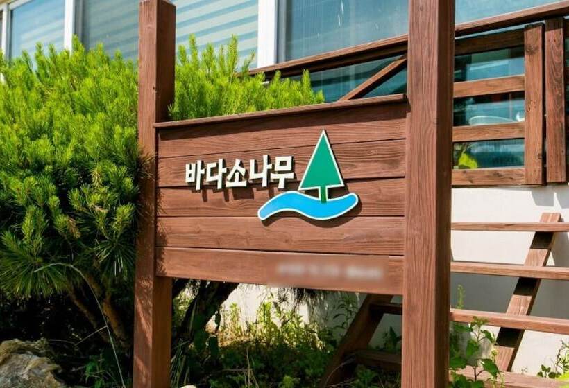 Samcheok Bada Sonamu Pension