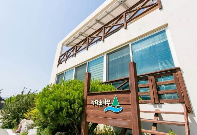 Samcheok Bada Sonamu Pension