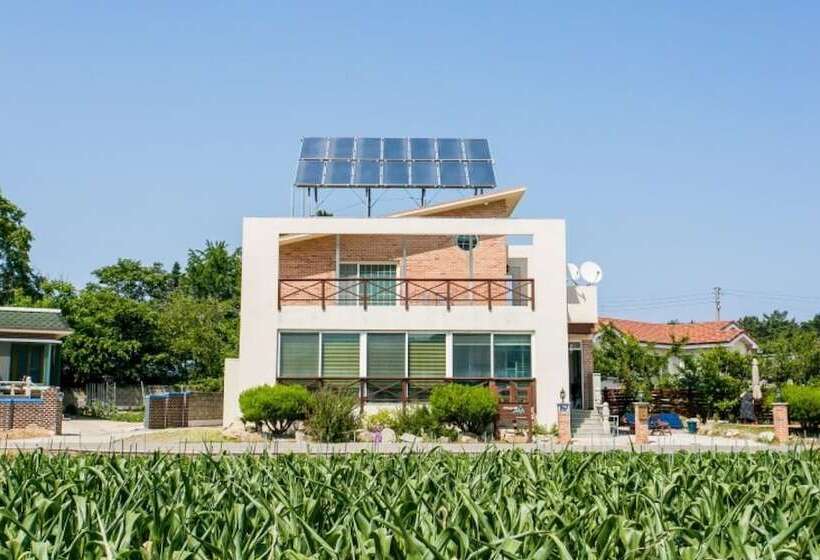 Samcheok Bada Sonamu Pension