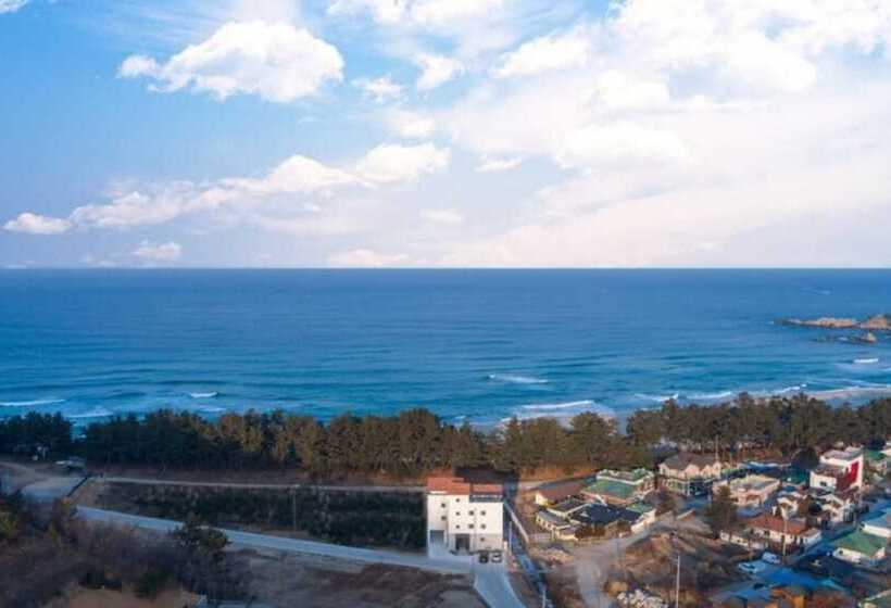 Samcheok View Of Sea Pension