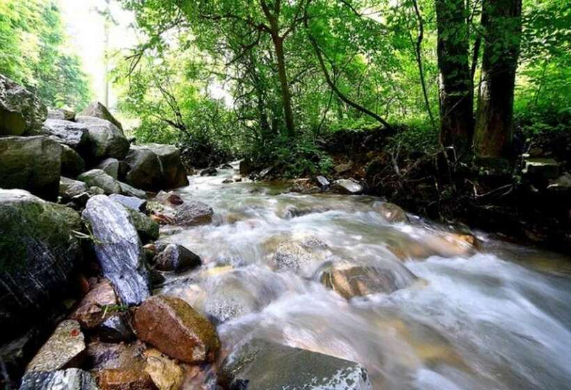 Sancheong Dolkkotdam Pension