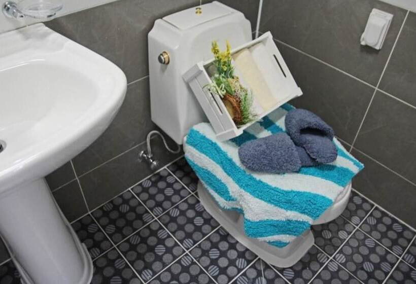 Sancheong Shwim Pension