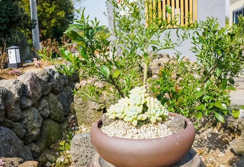 Seogwipo Haengbok Pension