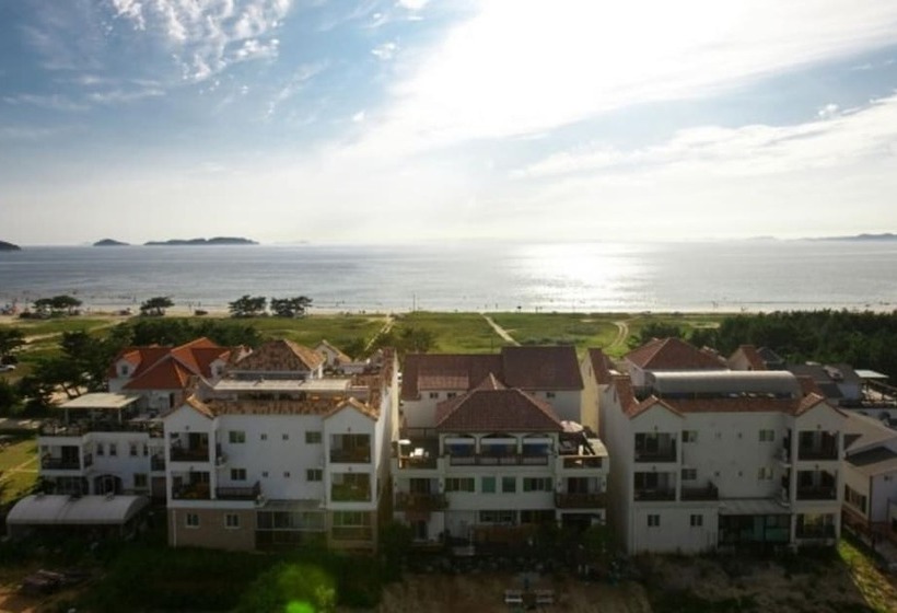 Taean Napoli Pension