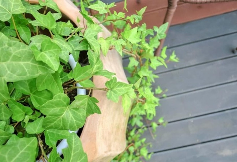 Taean Napoli Pension