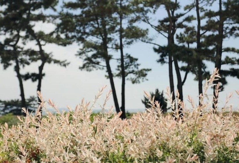 Taean Napoli Pension