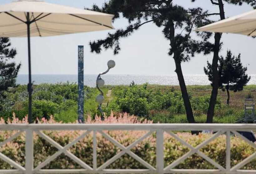 Taean Napoli Pension