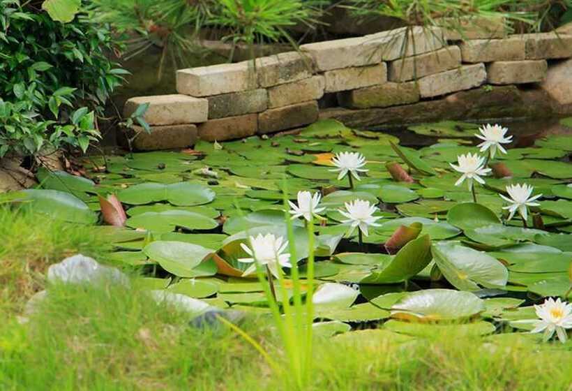 Tongyeong Morning Dew Pension