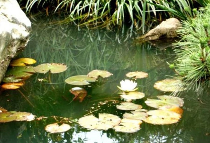 Tongyeong Morning Dew Pension