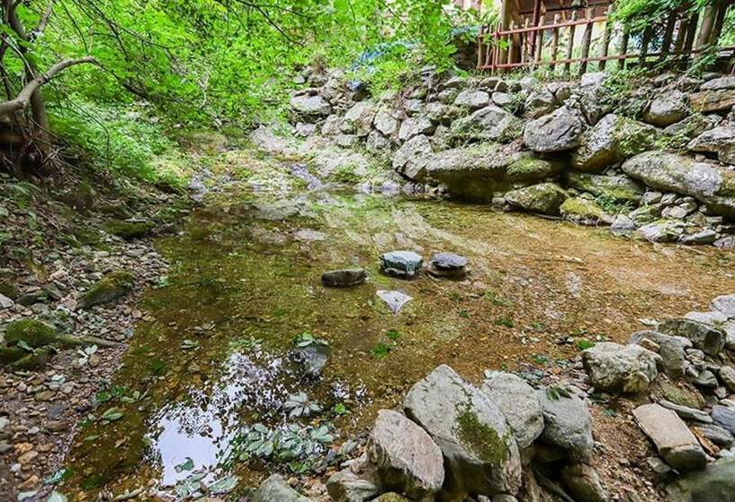 Wonju Chiaksan Gallery Pension