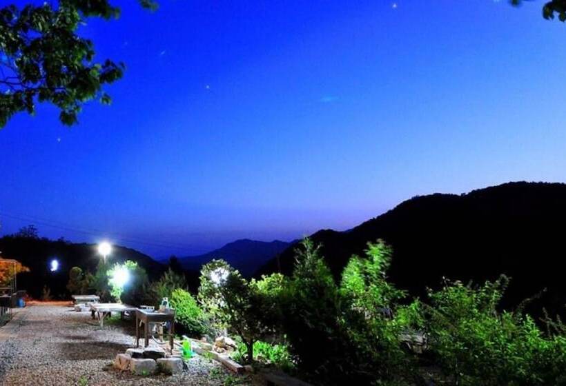 Yanggu Always Sol Pension