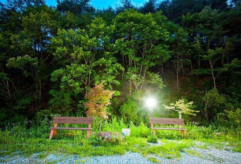 Yanggu Gohyangui Bom Pension