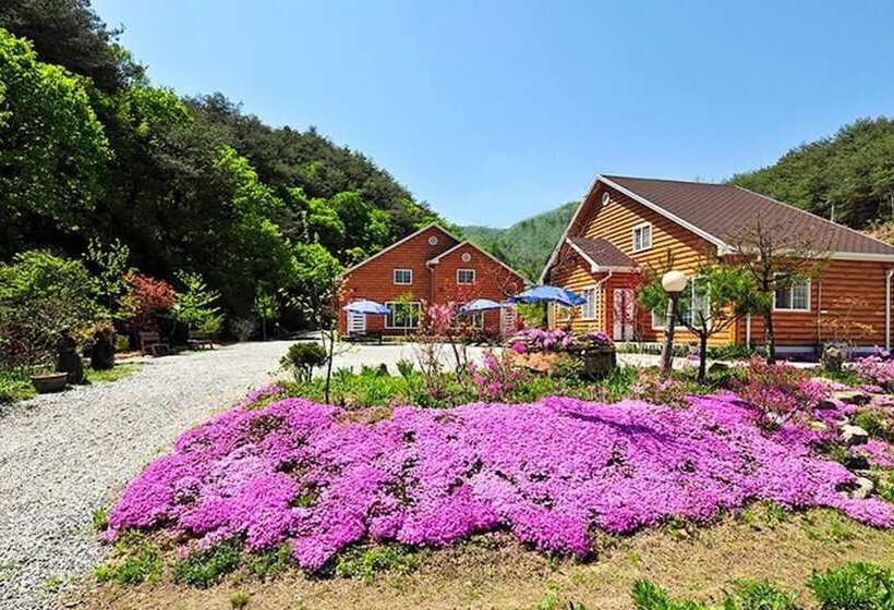 Yanggu Gohyangui Bom Pension