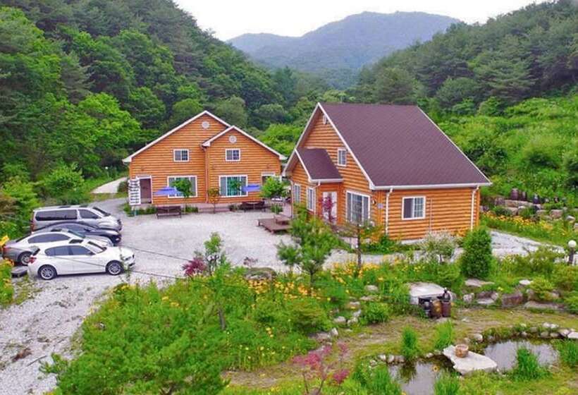 Yanggu Gohyangui Bom Pension
