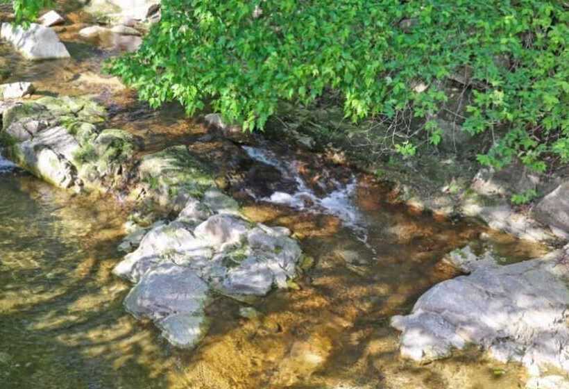 Yangpyeong Adeulbawi Pension