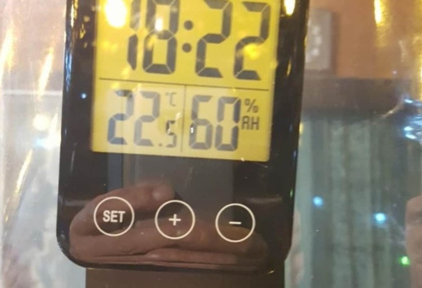 Yangpyeong Galgisan Forest Hill Pension