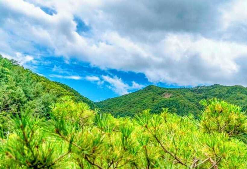 Yangpyeong Galgisan Forest Hill Pension