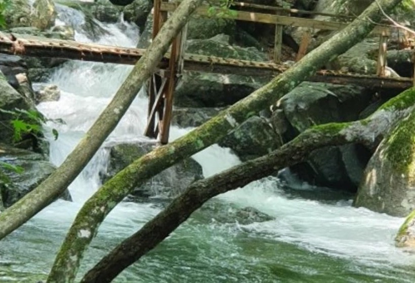 Yangpyeong Live Healing Pension