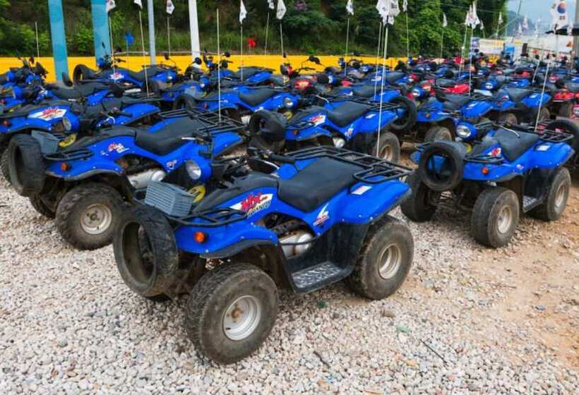 Yangpyeong Live Healing Pension