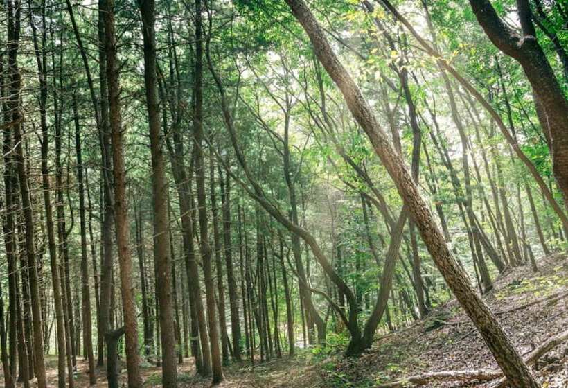 Yangpyeong Live Healing Pension