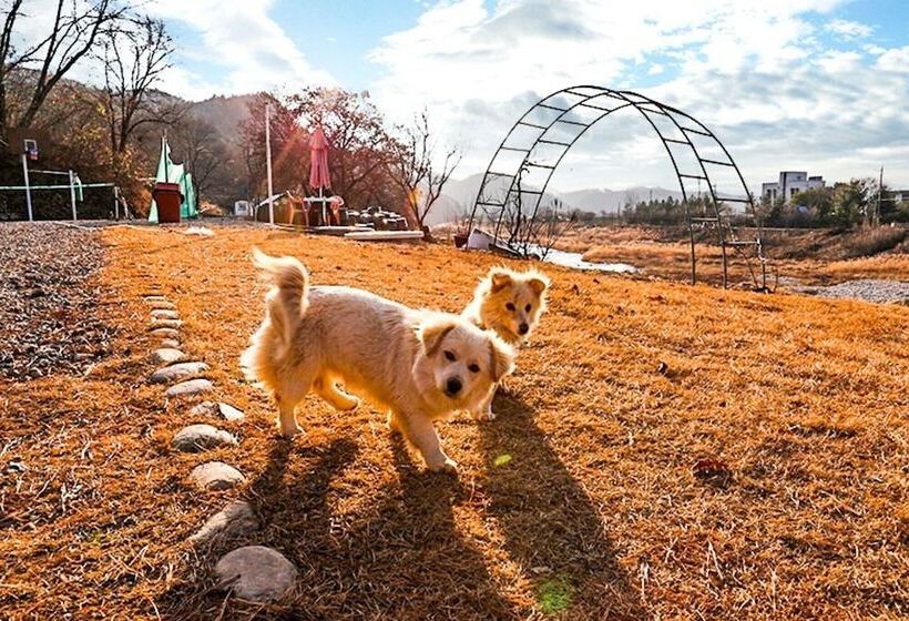 Yangpyeong San And Gang Pension
