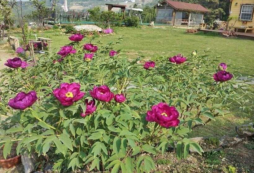 Yangpyeong Shija House Pension