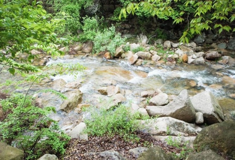 Yangsan Norway Pension