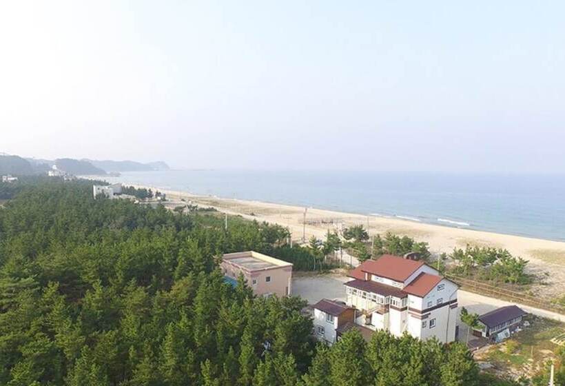 Yangyang Haegeum Pension