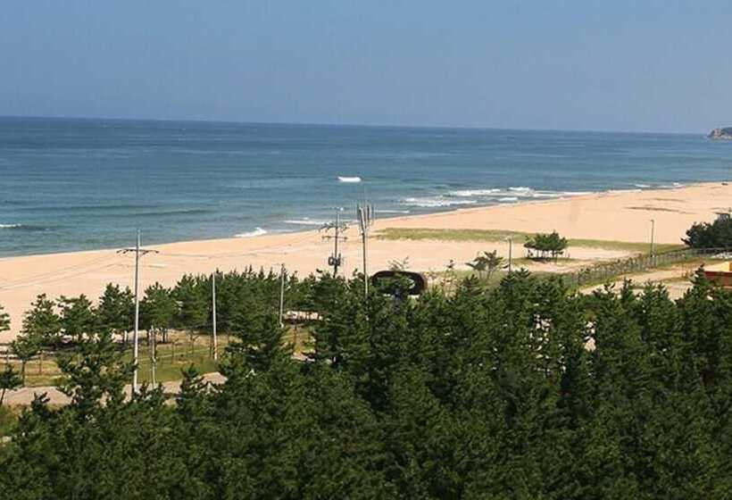 Yangyang Haegeum Pension