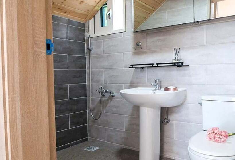 Yangyang Mono Tree Pension