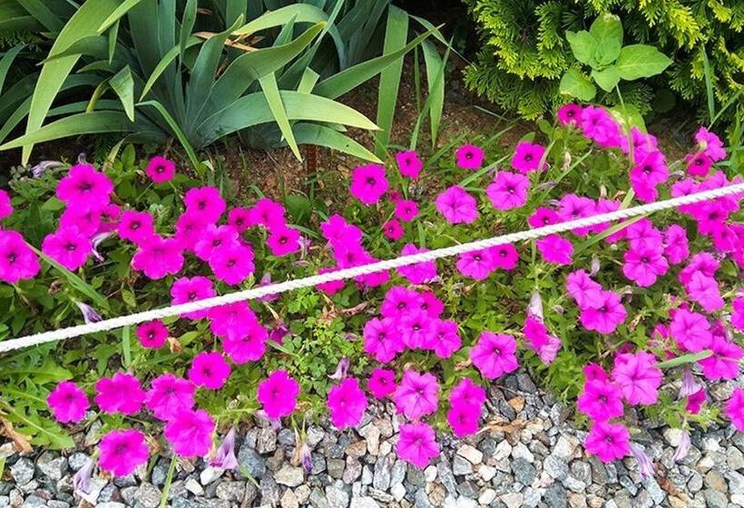 Yongin Byeolbaragi Pension