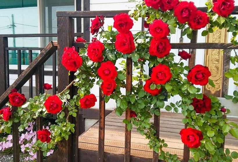 Yongin Byeolbaragi Pension