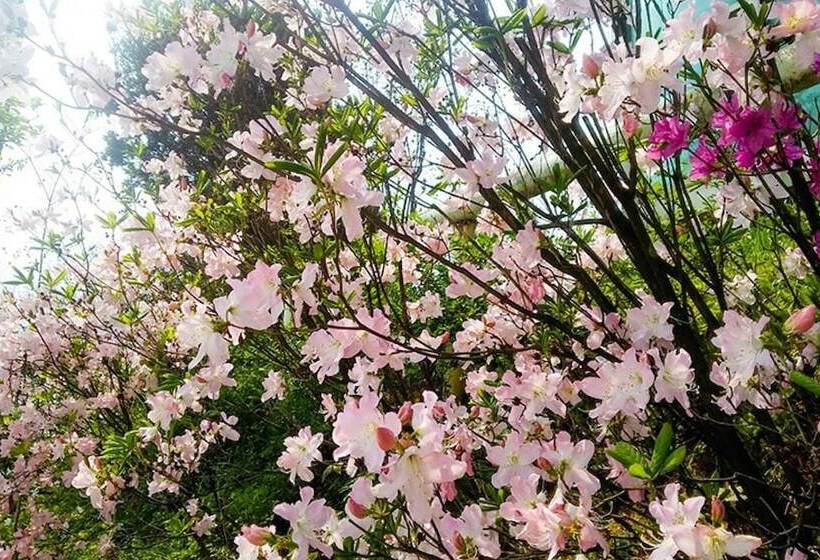 Yongin Byeolbaragi Pension