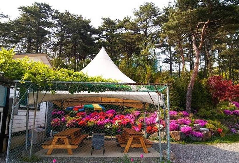 Yongin Byeolbaragi Pension