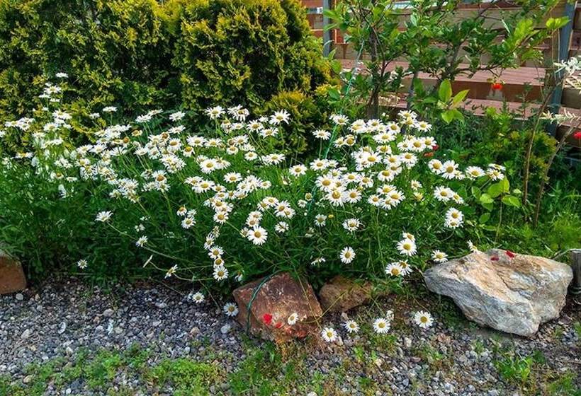 Yongin Byeolbaragi Pension