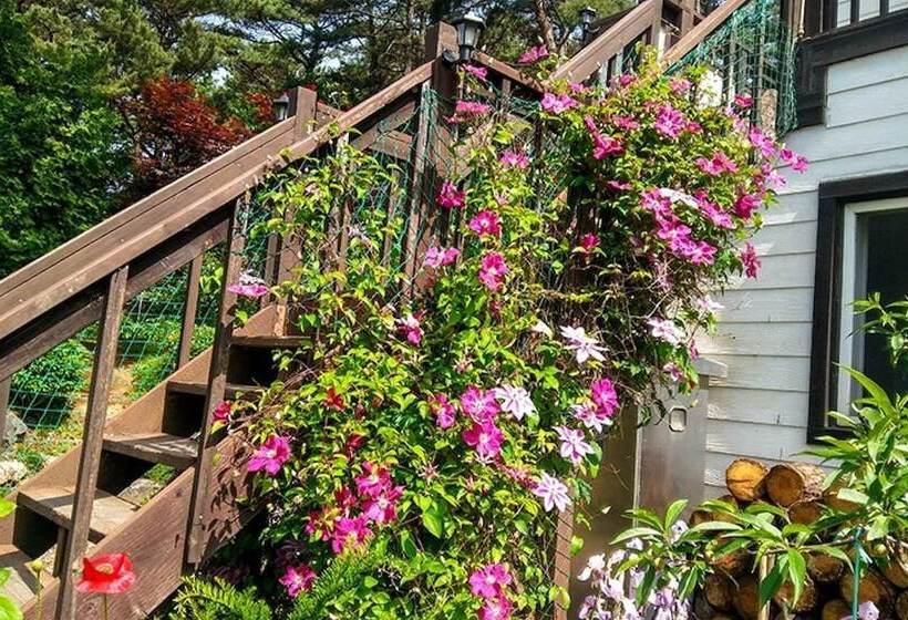 Yongin Byeolbaragi Pension