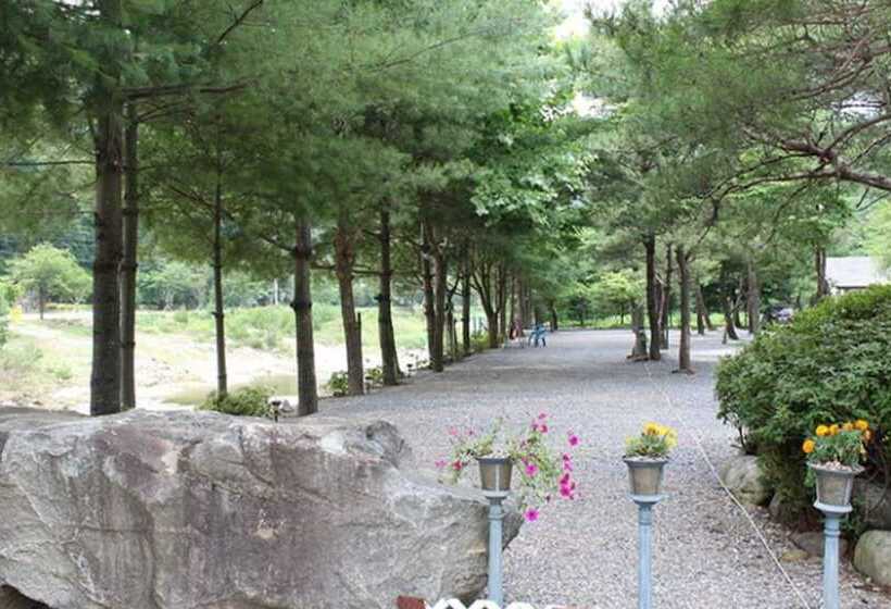 Youngwol Sky Pension Camping