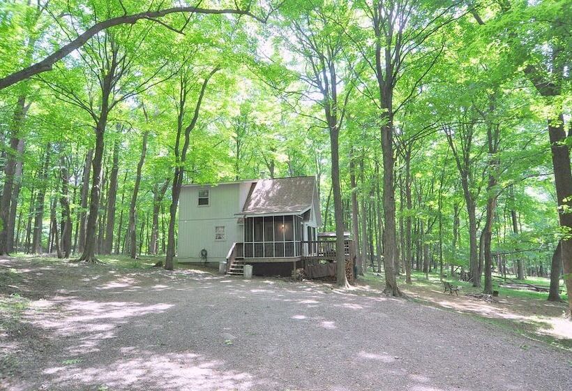 A Serenity Station   A Serene Experience